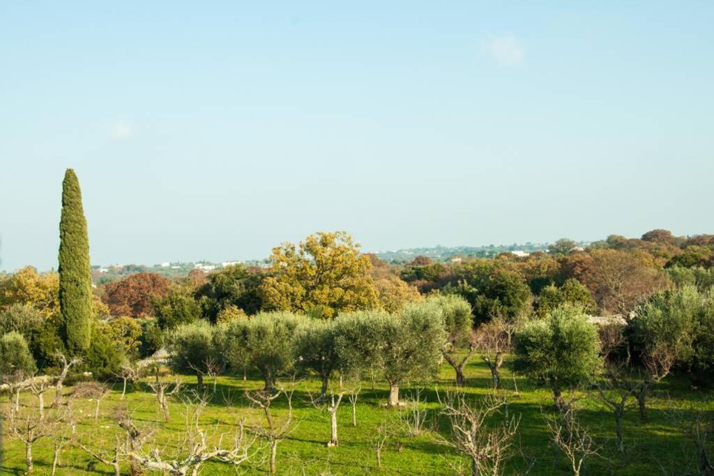 Il Pero Villa Monopoli Dış mekan fotoğraf